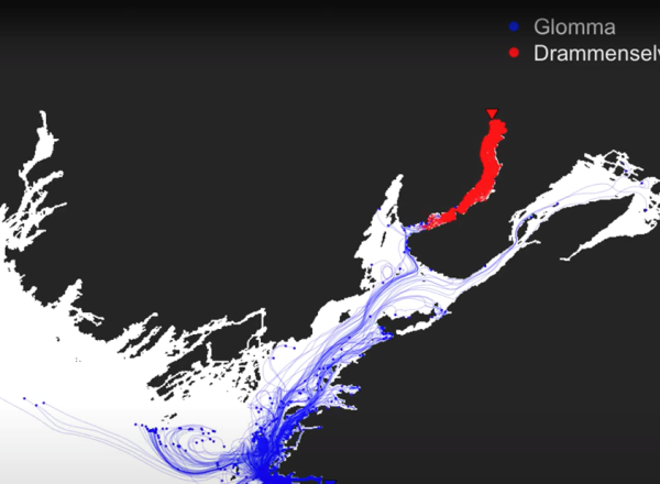 modell-av-havstrommer