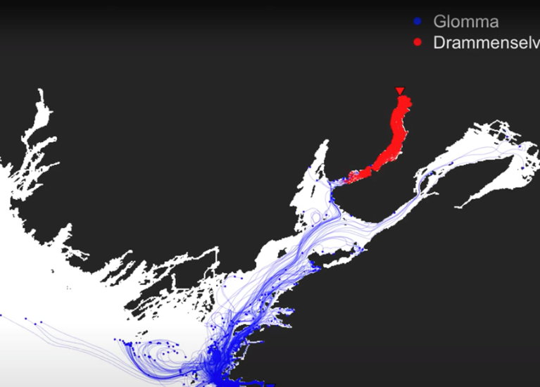 modell-av-havstrommer